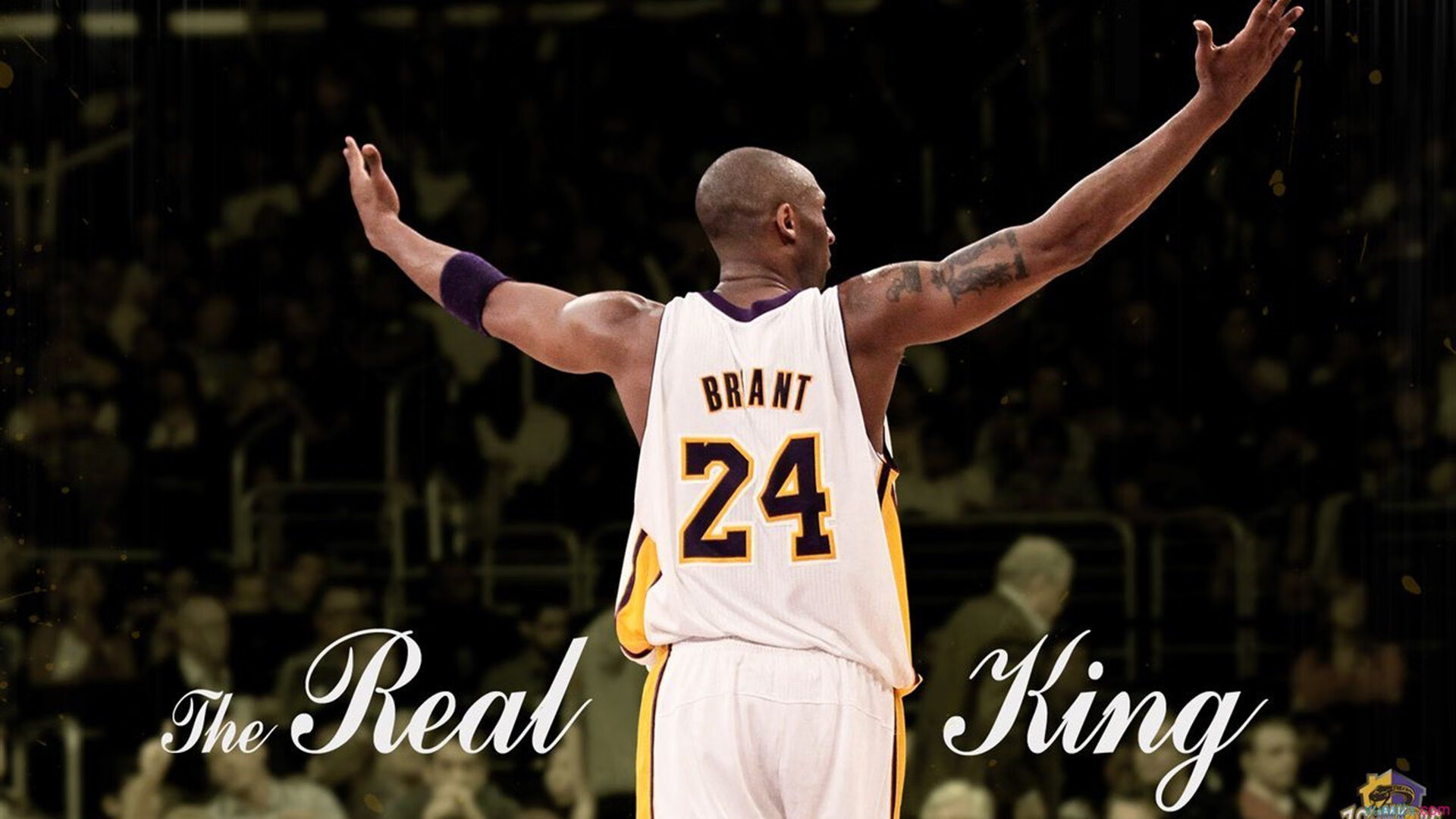 史上最动人“冠军夜”全景回忆，《冠军》